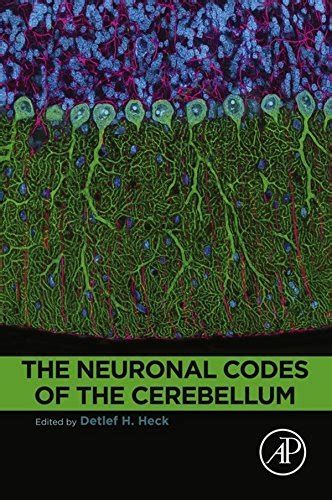 book and pdf neuronal codes cerebellum detlef heck PDF