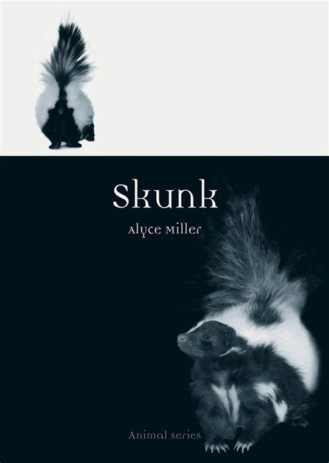 book and pdf skunk animal alyce miller Epub