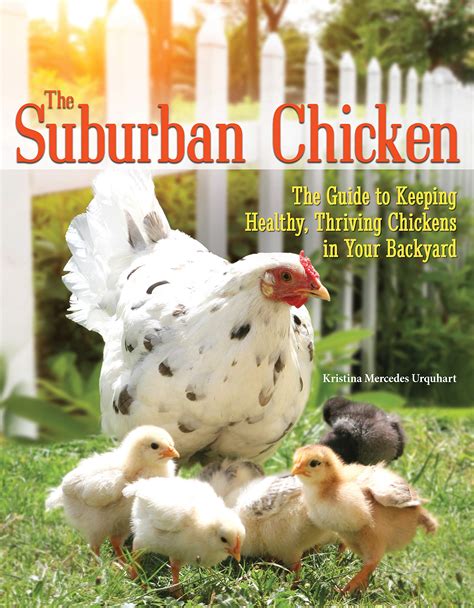 book and pdf suburban chicken keeping chickens backyard Reader