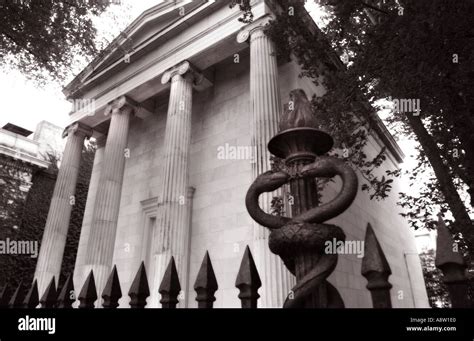 book and snake yale