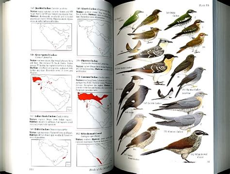 book birds of middle east pdf free Reader