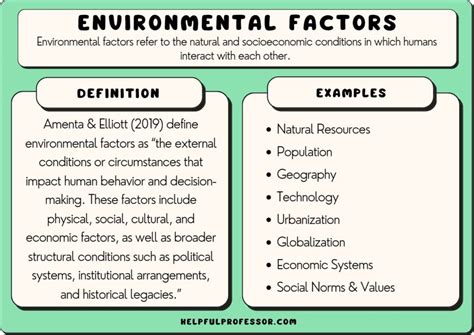 book environmental factors in 17 Kindle Editon