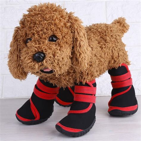 booties for dogs