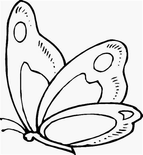 borboletas colorare tens?s desenhos portuguese PDF