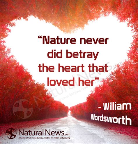 borderers nature never betray heart ebook Doc