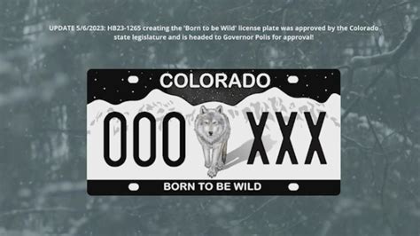 born wild in colorado Kindle Editon