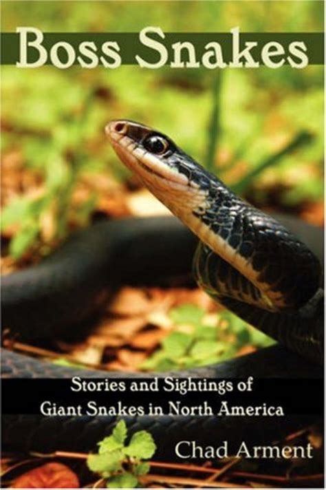 boss snakes stories and sightings of giant snakes in north america Epub