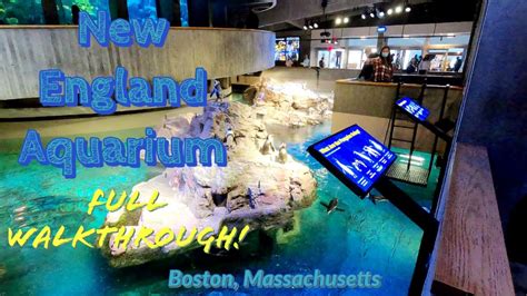 Boston Aquarium Walkthrough