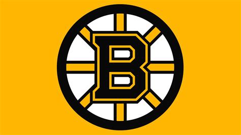 boston bruins