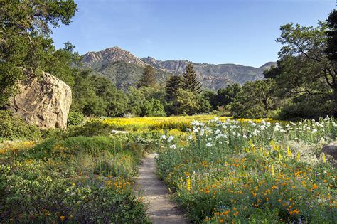 botanical garden santa barbara