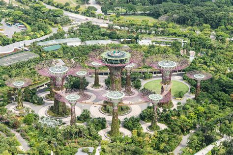 botanischer garten singapur