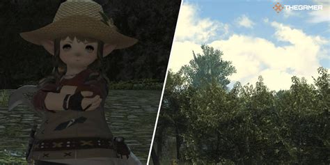 botanist ff14 leveling guide