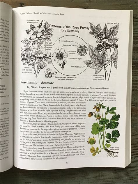 botany in a day the patterns method of plant identification Reader