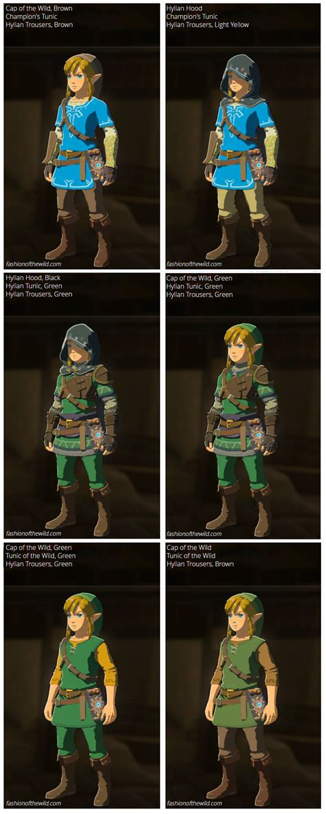 botw champion's set