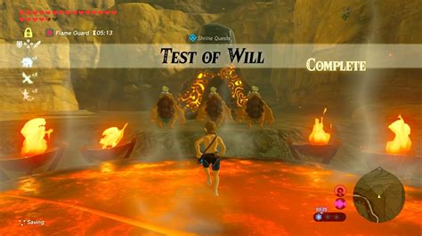 botw test of will