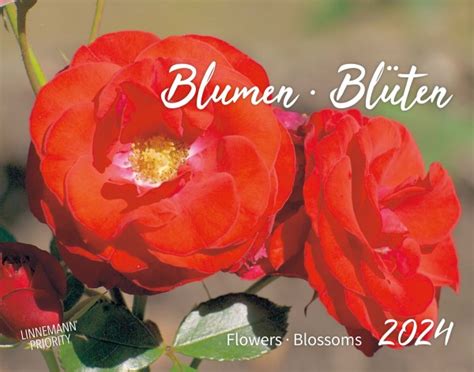 bouquets 2016 wandkalender fotos 8595054228453 Reader