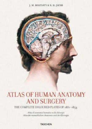 bourgery atlas anatomie humaine chirurgie Reader