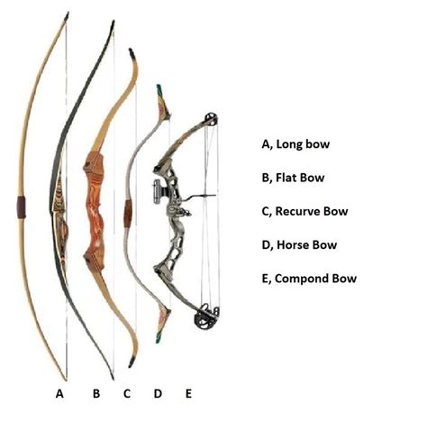 bow arrow types