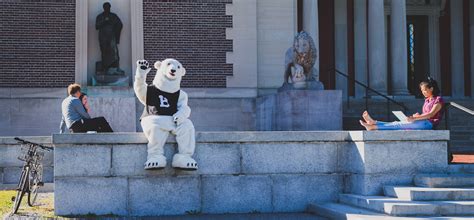bowdoin polar bears