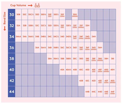 bra size chart us