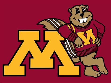 brady minnesota gophers football