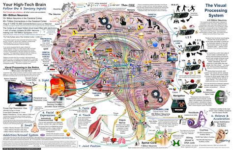 brain maps brain maps PDF