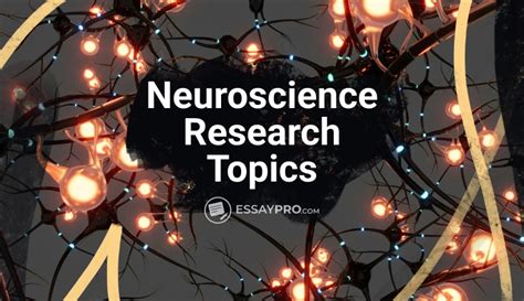 brain topics for research paper Kindle Editon