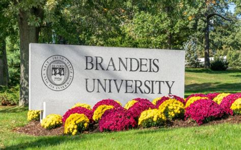 brandeis transfer acceptance rate