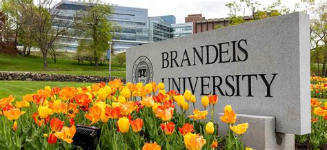 brandeis university directory