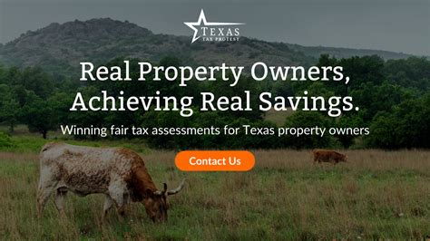 brazoria county property taxes