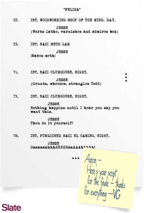 breaking bad felina script