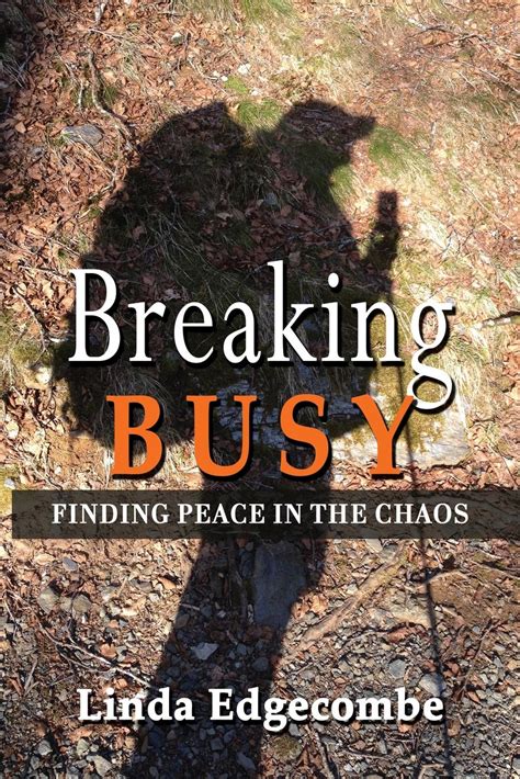 breaking busy finding peace in the chaos PDF