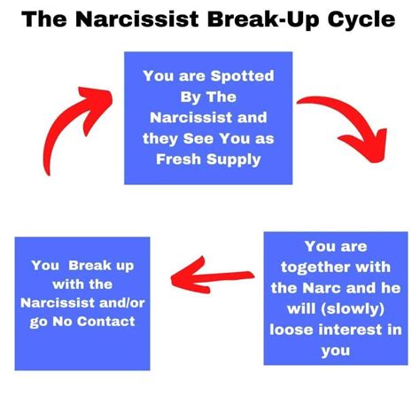 breaking up with a narcissist the little book of Epub