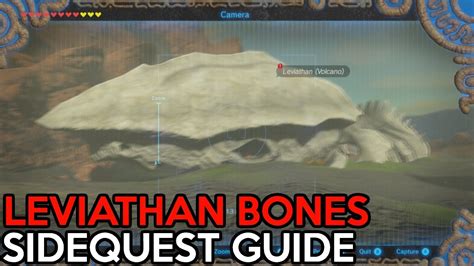 breath of the wild leviathan bones