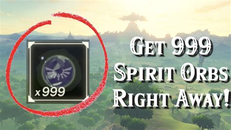 breath of the wild spirit orbs