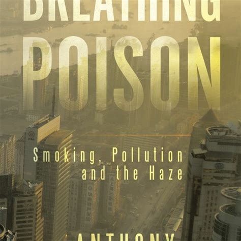 breathing poison smoking pollution and the haze PDF