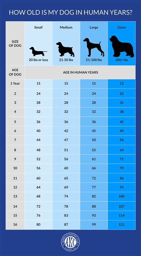 Breed Dog Age Chart