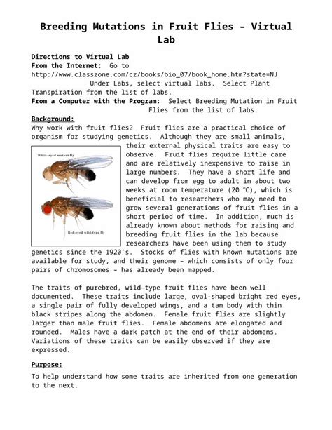 breeding mutations in fruit flies answers PDF