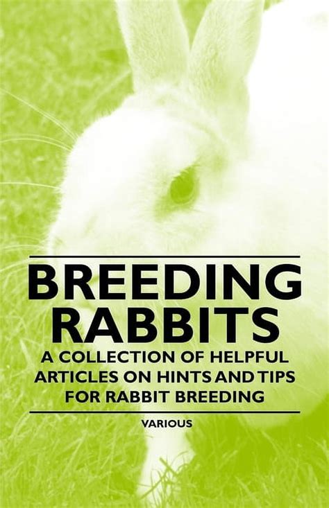 breeding rabbits a collection of helpful articles on hints and tips for rabbit breeding PDF