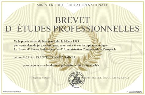 brevet detudes professionnelles Reader