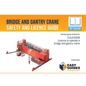 bridge crane plans Ebook Kindle Editon