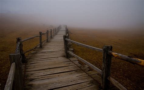 bridge of mist and fog Reader