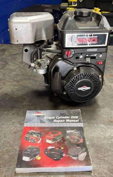 briggs and stratton intek 900 manual Kindle Editon