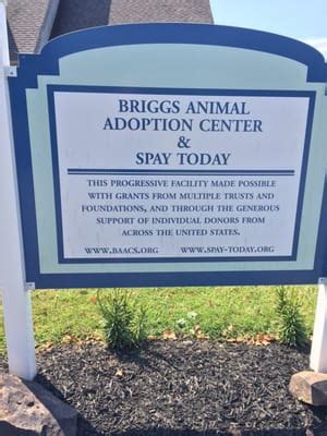 briggs animal adoption wv