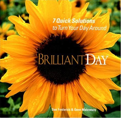 brilliantday 7 quick solutions to turn your day around PDF