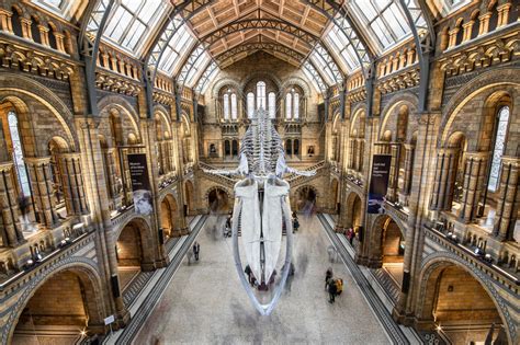 british natural history museum