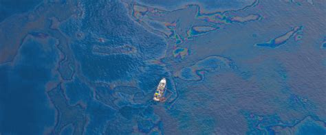 british petroleum and the gulf oil spill