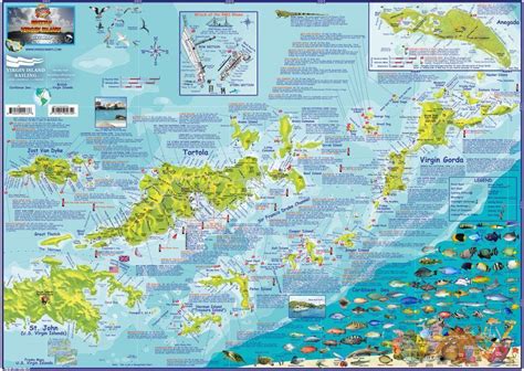 british virgin islands adventure and dive guide franko maps bvi waterproof map Doc