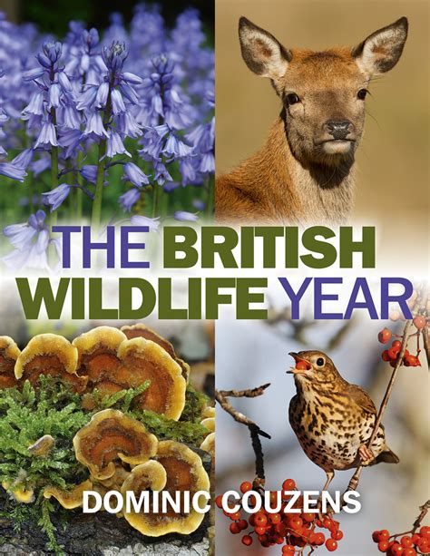 british wildlife year dominic couzens Reader