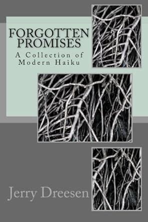 broken promises a collection of modern haiku PDF